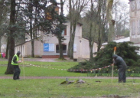 files/noeuds/Pougues/gallerie_sm/VignettesPougues3.jpg