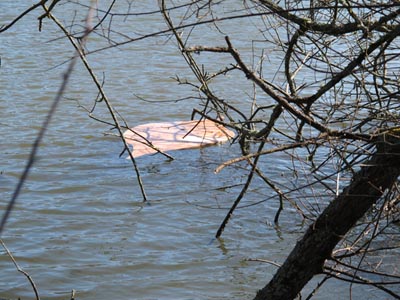 files/noeuds/Tregu/Trégu1.jpg